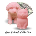 Best Friends Collection – Cash Wax Melt Bundle