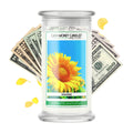 Unscented Cash Candle